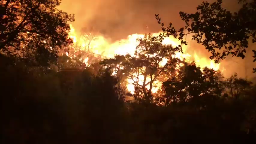 Detenido un varón sospechoso de causar el incendio de Estepona al quemar una colmena de abejas Detenido un varón sospechoso de causar el incendio de Estepona al quemar una colmena de abejas