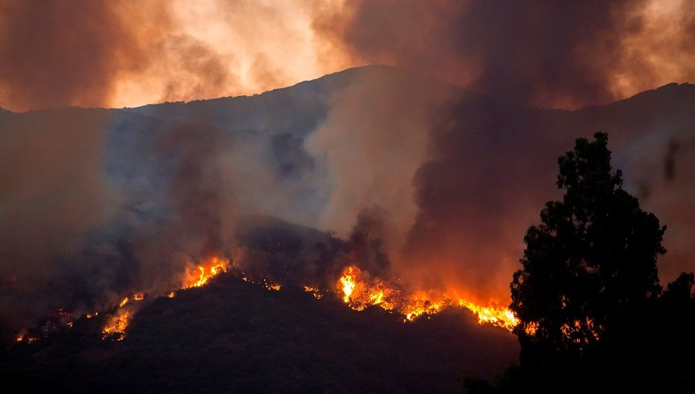 Imagen del incendio en Estepona producido pocos días antes que el de Marbella.