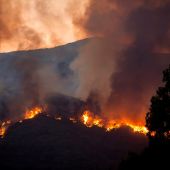 Imagen del incendio en Estepona producido pocos días antes que el de Marbella.