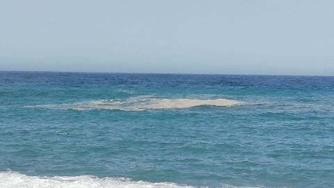 MANCHA DE SALOBRE&Ntilde;A