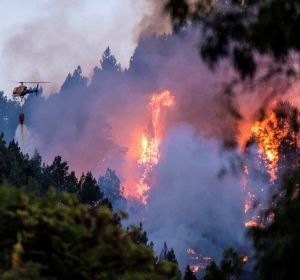 Imagen del incendio de Gran Canaria Imagen del incendio de Gran Canaria