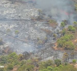 Unas 50 personas, evacuadas por el fuego en Estepona Unas 50 personas, evacuadas por el fuego en Estepona