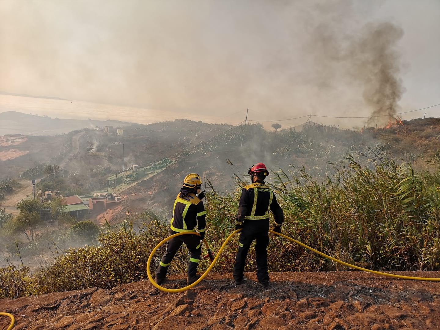 El incendio de Gran Canaria está en fase de estabilización y los evacuados regresan a sus casas El incendio de Gran Canaria está en fase de estabilización y los evacuados regresan a sus casas