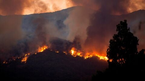 Incendio en Estepona