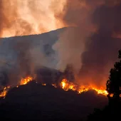 Incendio en Estepona Incendio en Estepona