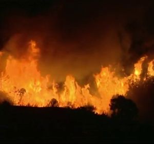 Cerca de 2.000 desalojados en Estepona por un incendio provocado al intentar quemar un avispero Cerca de 2.000 desalojados en Estepona por un incendio provocado al intentar quemar un avispero