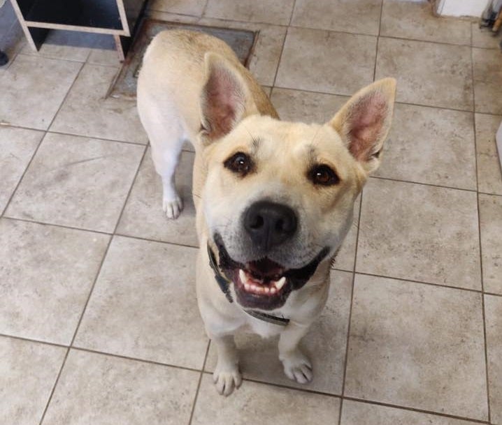 León en la Onda 21/08/2019 León en la Onda 21/08/2019