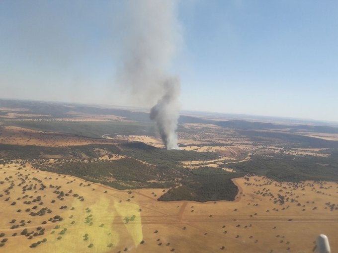 El incendio de Luciana puede haber quemado entre 20 y 30 hectáreas forestales El incendio de Luciana puede haber quemado entre 20 y 30 hectáreas forestales