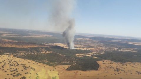 El incendio de Luciana est&aacute; controlado