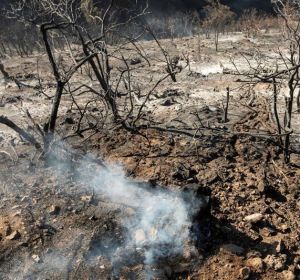 Incendios en Gran Canaria Incendios en Gran Canaria