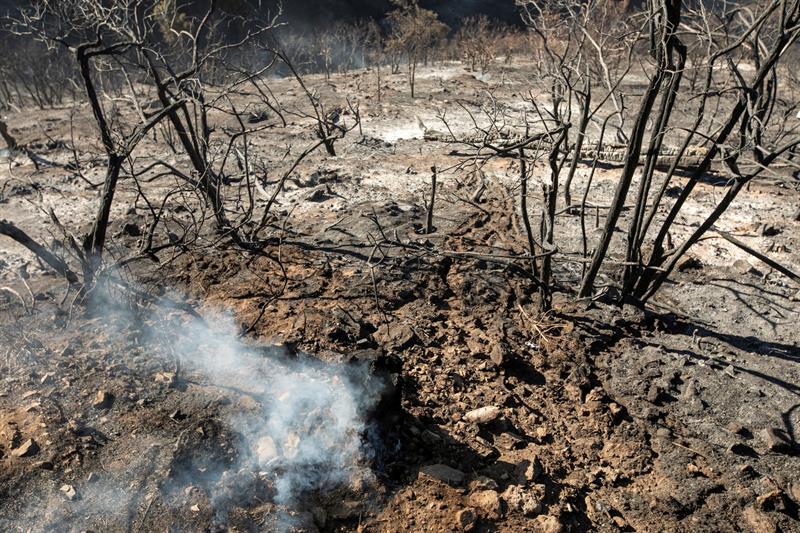 Jesús Díaz, Alcalde de Artenara: “Ahora lo que toca es trabajar el tema de las subvenciones para el pueblo canario” Jesús Díaz, Alcalde de Artenara: “Ahora lo que toca es trabajar el tema de las subvenciones para el pueblo canario”