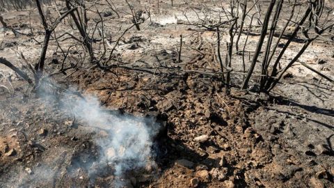 Incendios en Gran Canaria