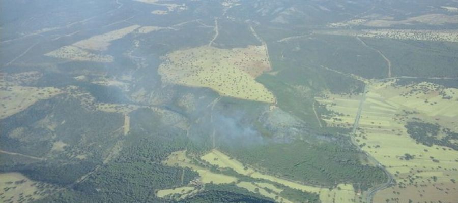El incendio forestal de Luciana ya está controlado El incendio forestal de Luciana ya está controlado