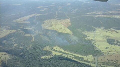 El incendio forestal de Luciana ya est&aacute; controlado
