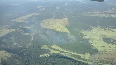 El incendio forestal de Luciana ya está controlado El incendio forestal de Luciana ya está controlado