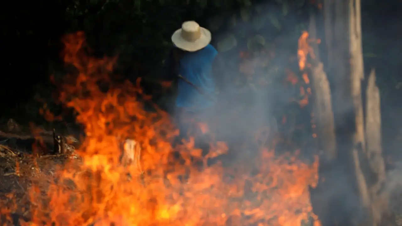 Incendios en el Amazonas Incendios en el Amazonas
