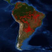Imagen de la NASA de los incendios de la Amazonia