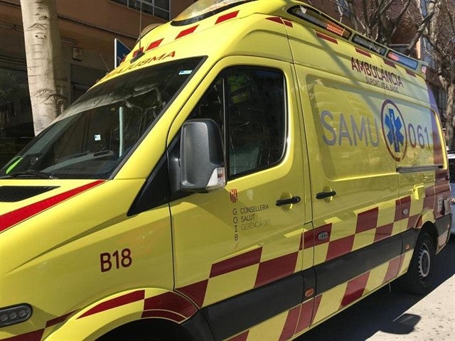 Una mujer muere en Palma aplastada por una palmera Una mujer muere en Palma aplastada por una palmera