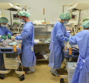 Enfermeras trabajando en un hospital. Enfermeras trabajando en un hospital.