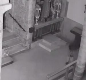 El acusado defecando en el santuario El acusado defecando en el santuario