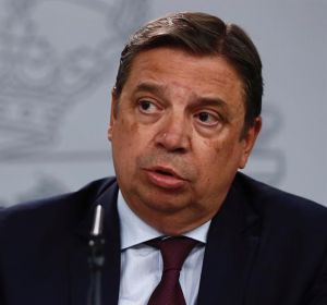 El ministro de Agricultura, Luis Planas El ministro de Agricultura, Luis Planas