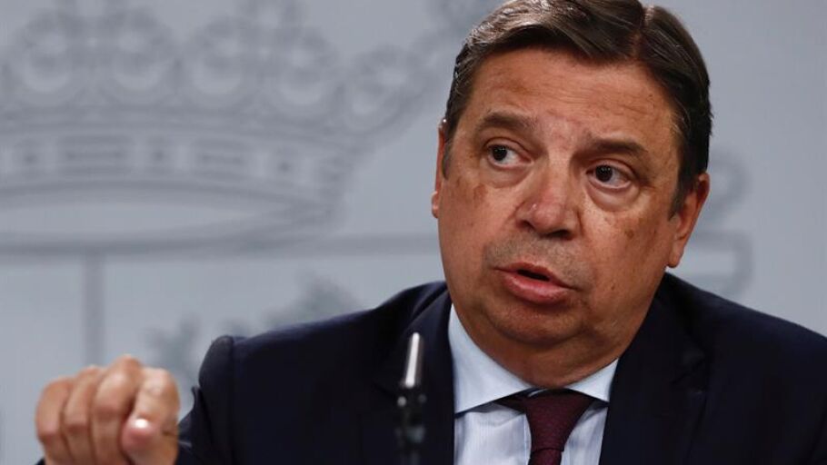 El ministro de Agricultura, Luis Planas