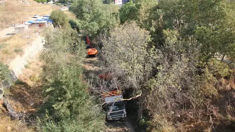 Máquinas del Ayuntamiento limpiando el torrent de Sa Riera de Palma. Máquinas del Ayuntamiento limpiando el torrent de Sa Riera de Palma.