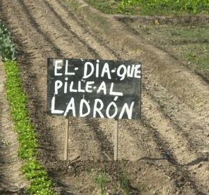 Asaja quiere que la Diputación constituya un consorcio para luchar contra los robos en el campo Asaja quiere que la Diputación constituya un consorcio para luchar contra los robos en el campo