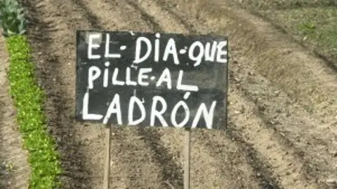 Asaja quiere que la Diputación constituya un consorcio para luchar contra los robos en el campo Asaja quiere que la Diputación constituya un consorcio para luchar contra los robos en el campo