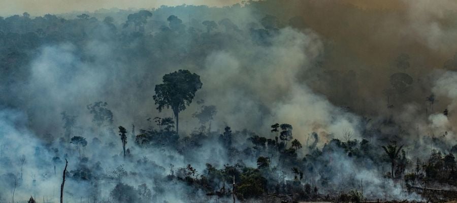 El humo cubre la Amazonia El humo cubre la Amazonia
