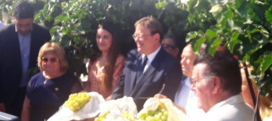 Acto del corte del primer racimo de uva embolsada del Vinalopó 2019/2020. Acto del corte del primer racimo de uva embolsada del Vinalopó 2019/2020.
