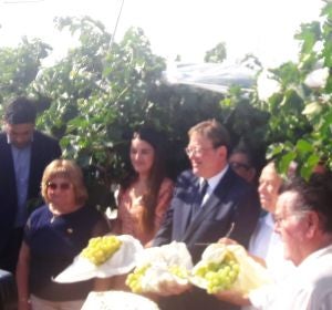Acto del corte del primer racimo de uva embolsada del Vinalopó 2019/2020. Acto del corte del primer racimo de uva embolsada del Vinalopó 2019/2020.