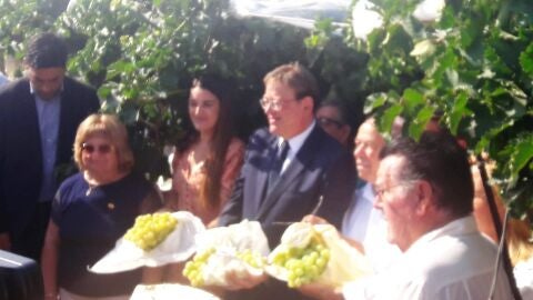 Acto del corte del primer racimo de uva embolsada del Vinalop&oacute; 2019/2020.