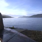 El monstruo del Lago Ness podría ser una anguila gigante