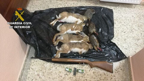 Ejemplares cazados furtivamente por el detenido