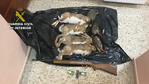 Ejemplares cazados furtivamente por el detenido Ejemplares cazados furtivamente por el detenido