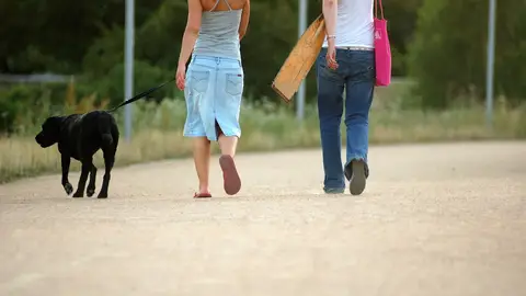 Perro de paseo con sus dueños Perro de paseo con sus dueños