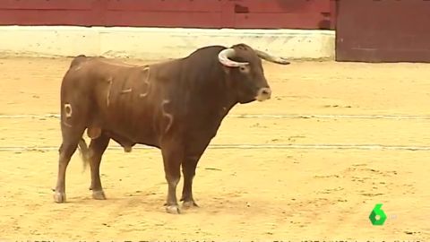 Pol&eacute;mica en la localidad alicantina de Villena: recupera los toros en plena fiesta de Moros y Cristianos
