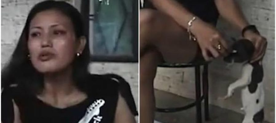una mujer apaga un cigarrillo en los ojos de un cachorro una mujer apaga un cigarrillo en los ojos de un cachorro