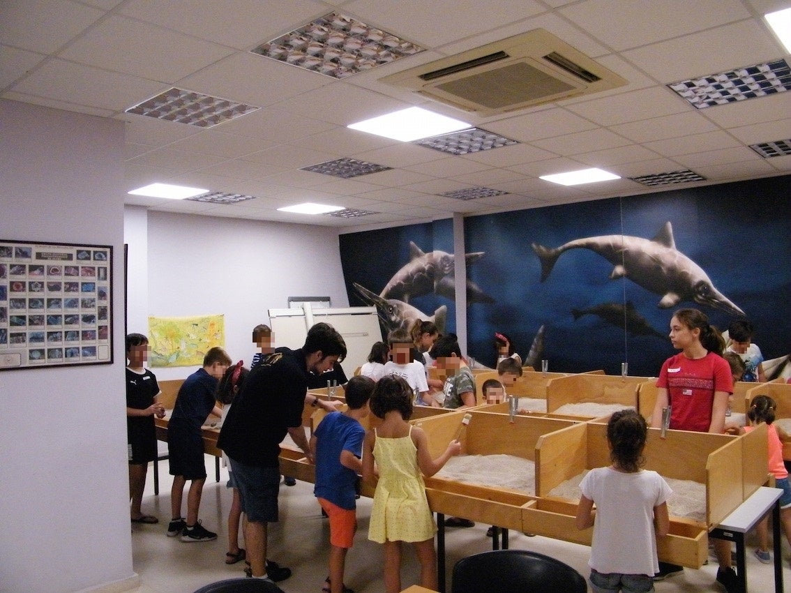 El Museo Paleontológico de Elche se consolida como punto de referencia en verano congregando más de 4000 personas en sus actividades El Museo Paleontológico de Elche se consolida como punto de referencia en verano congregando más de 4000 personas en sus actividades