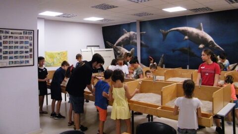 Taller infantil en el Museo Paleontol&oacute;gico de Elche.