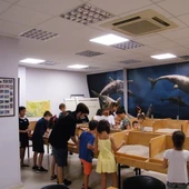 Taller infantil en el Museo Paleontológico de Elche. Taller infantil en el Museo Paleontológico de Elche.