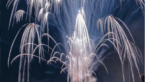 Fotografía finalista en la categoría 'Palmera de la Virgen' firmada por ginesig. Fotografía finalista en la categoría 'Palmera de la Virgen' firmada por ginesig.