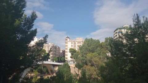 Elche.