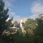 Elche. Elche.