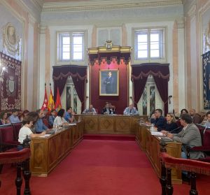 Pleno Municipal Pleno Municipal