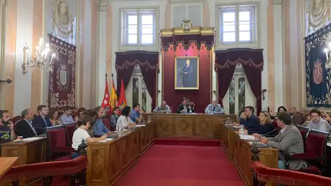 Pleno Municipal Alcalá de Henares