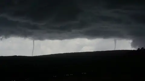 Dos caps de fibló se han dejado ver en la Bahía de Palma durante el episodio de gota fría Dos caps de fibló se han dejado ver en la Bahía de Palma durante el episodio de gota fría