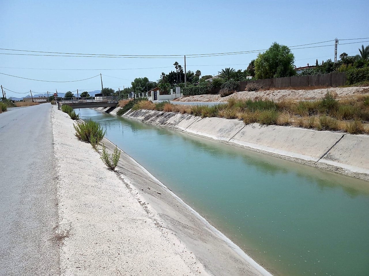 Los regantes del Camp d’Elx ven con “insatisfacción” los planes de cuenca del Tajo, Júcar y Segura Los regantes del Camp d’Elx ven con “insatisfacción” los planes de cuenca del Tajo, Júcar y Segura