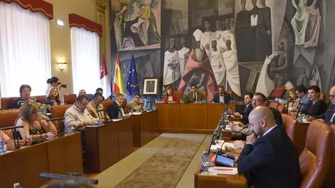 Pleno de la Diputación de Ciudad Real Pleno de la Diputación de Ciudad Real
